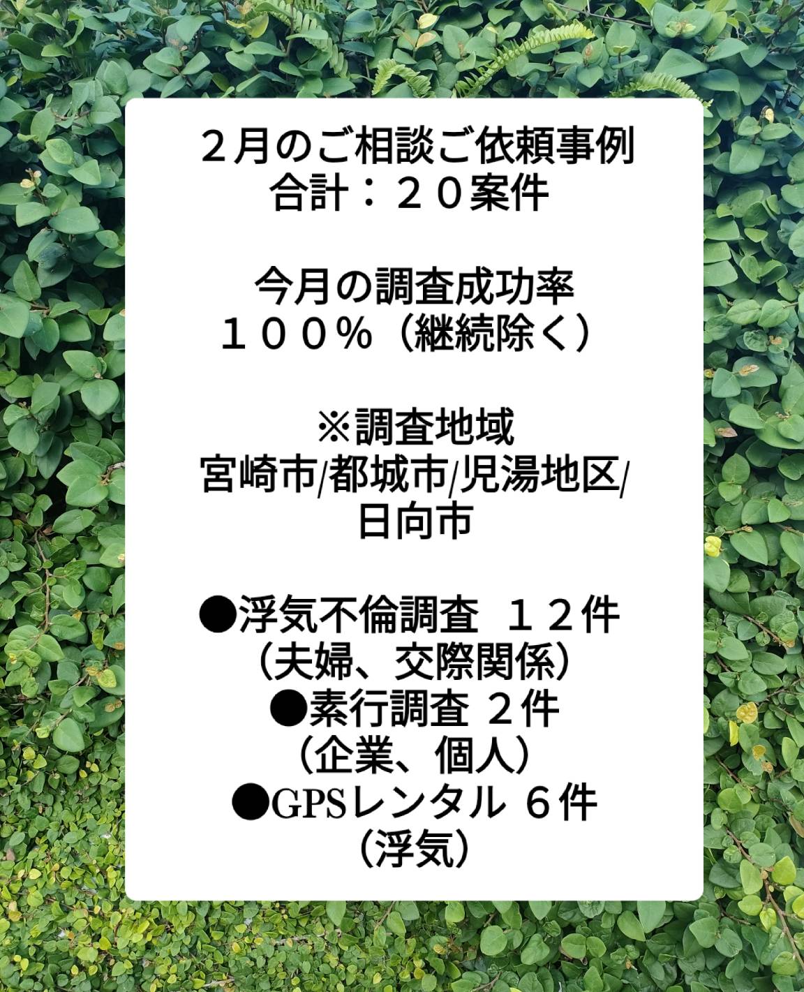 宮崎の浮気不倫調査探偵社ブログ　2月