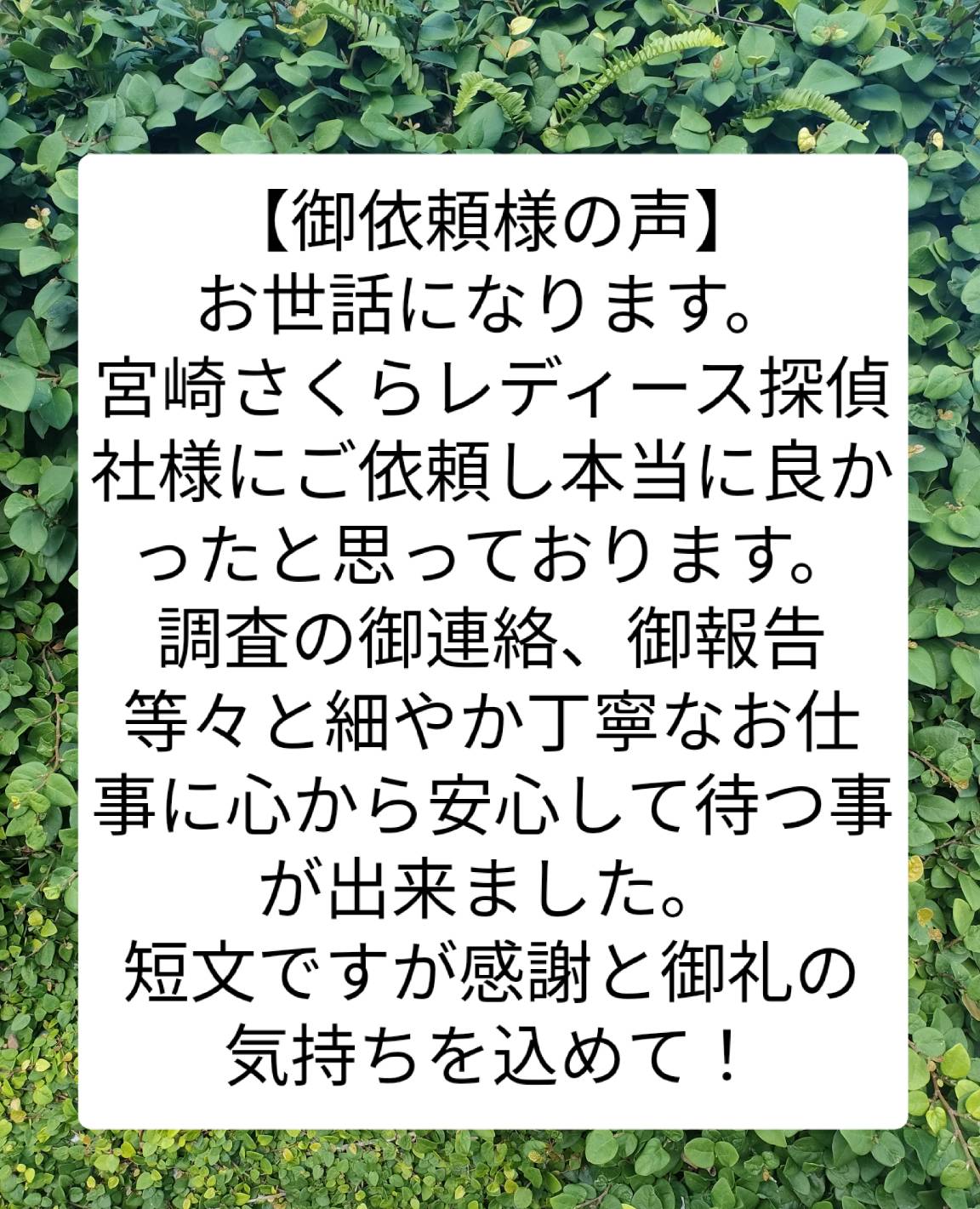 宮崎市浮気不倫調査探偵社ブログ 御依頼者様の声