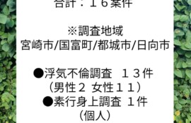 宮崎市浮気調査　宮崎市探偵社　11月の案件