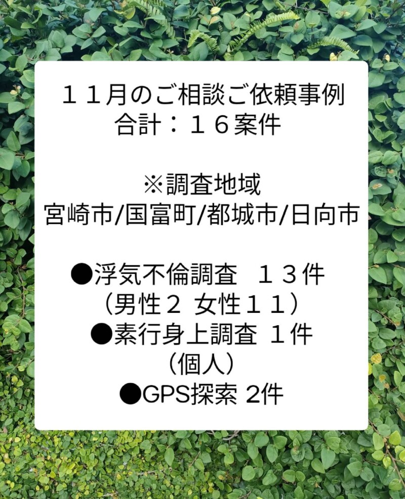 宮崎市浮気調査　宮崎市探偵社　11月の案件