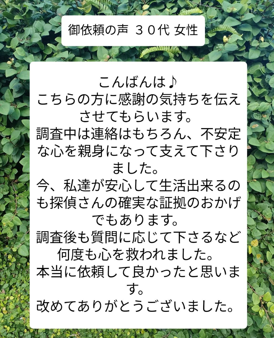 宮崎市浮気不倫調査探偵社ブログ 御依頼者様の声