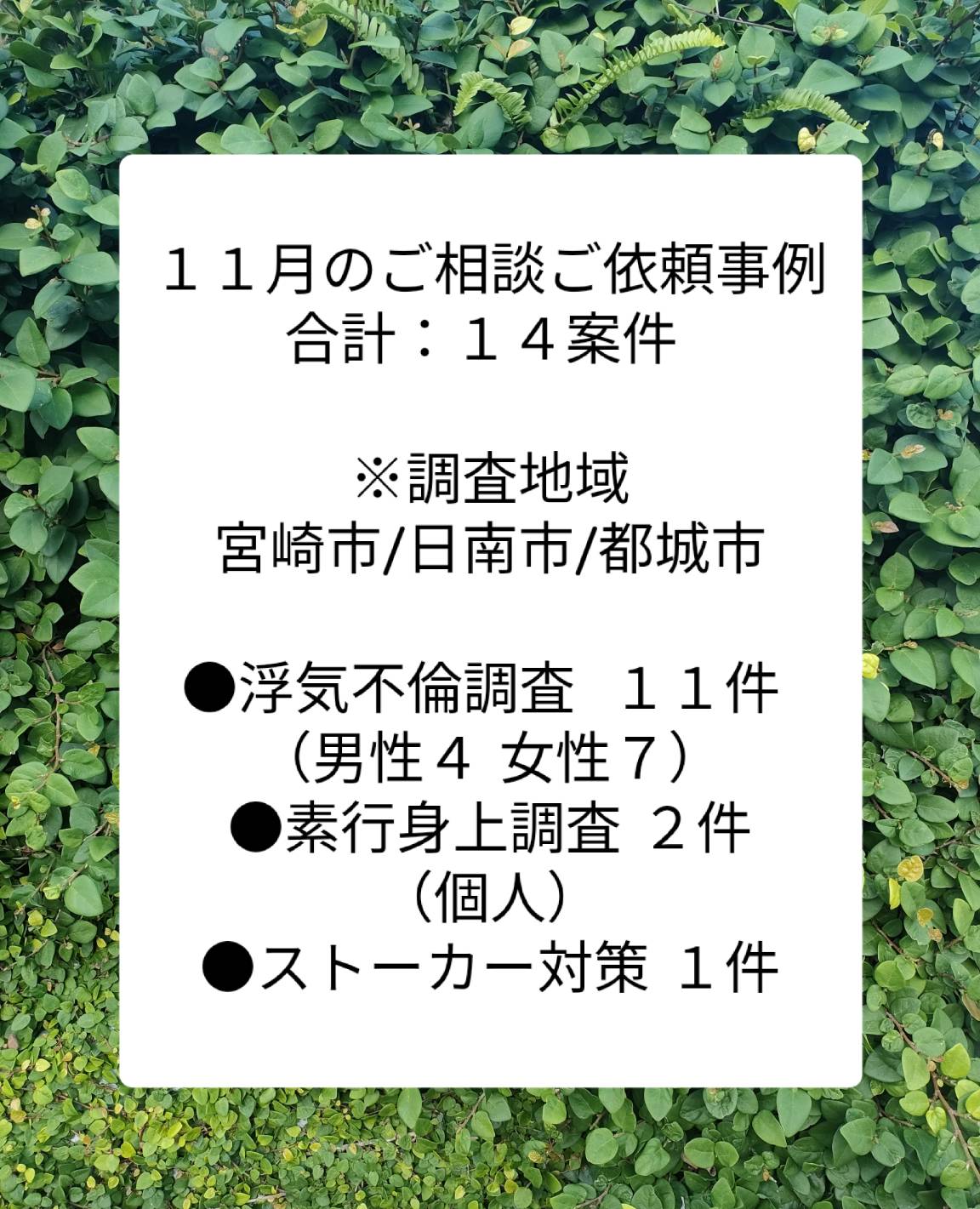 宮崎市浮気不倫調査 宮崎市探偵 宮崎社ブログ １1月の調査案件