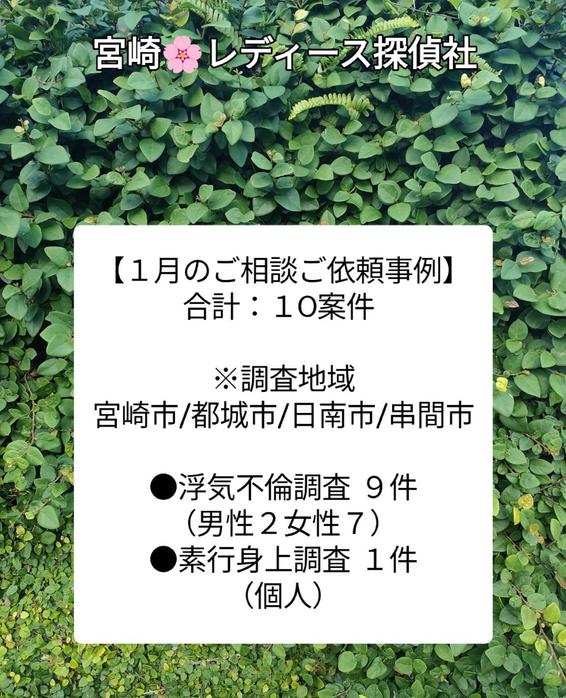 宮崎市 浮気不倫調査探偵社案件事例