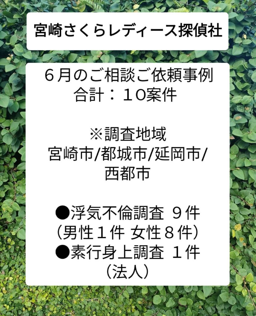 宮崎市浮気不倫調査 宮崎市探偵社ブログ
