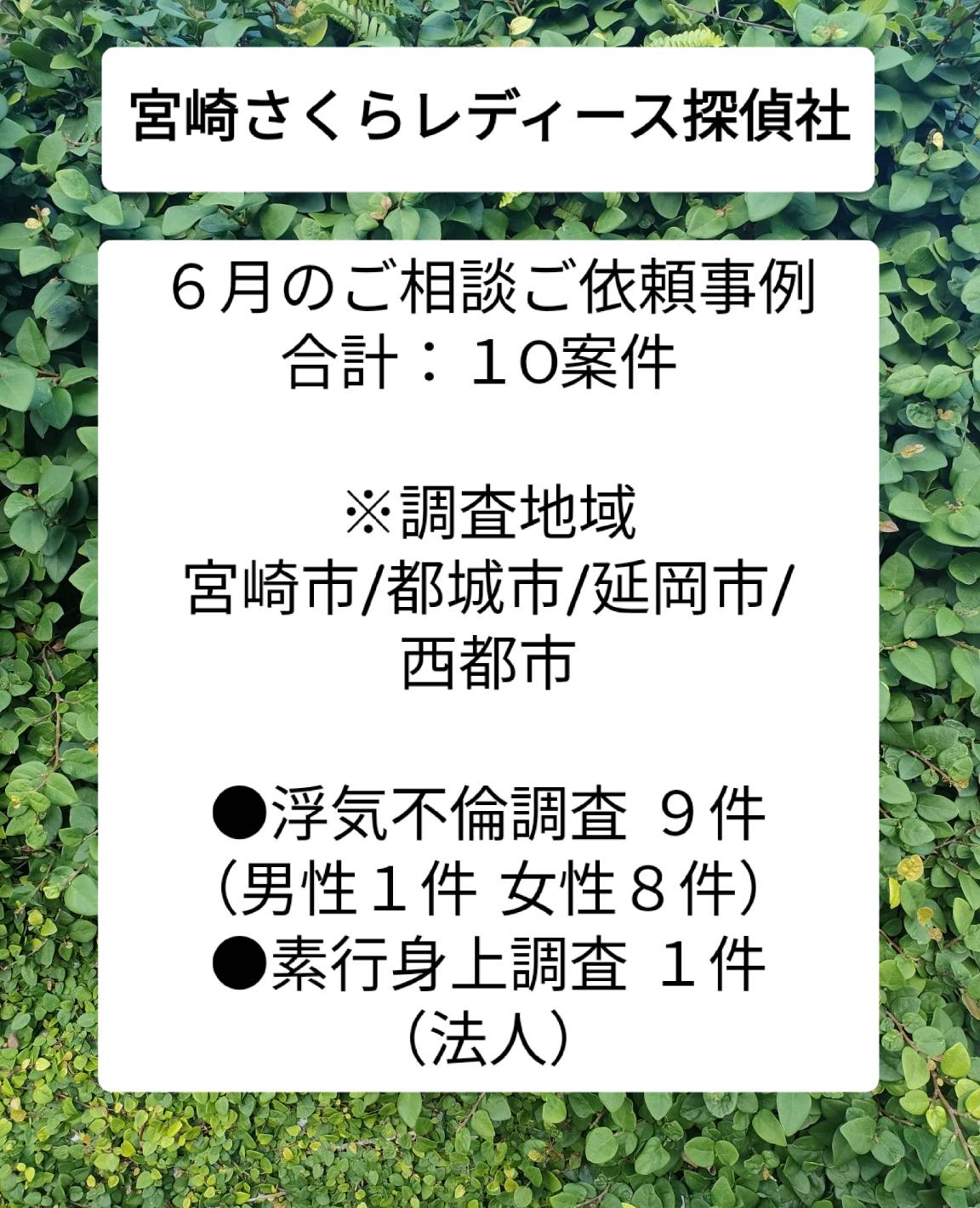 宮崎市浮気不倫調査 宮崎市探偵社ブログ