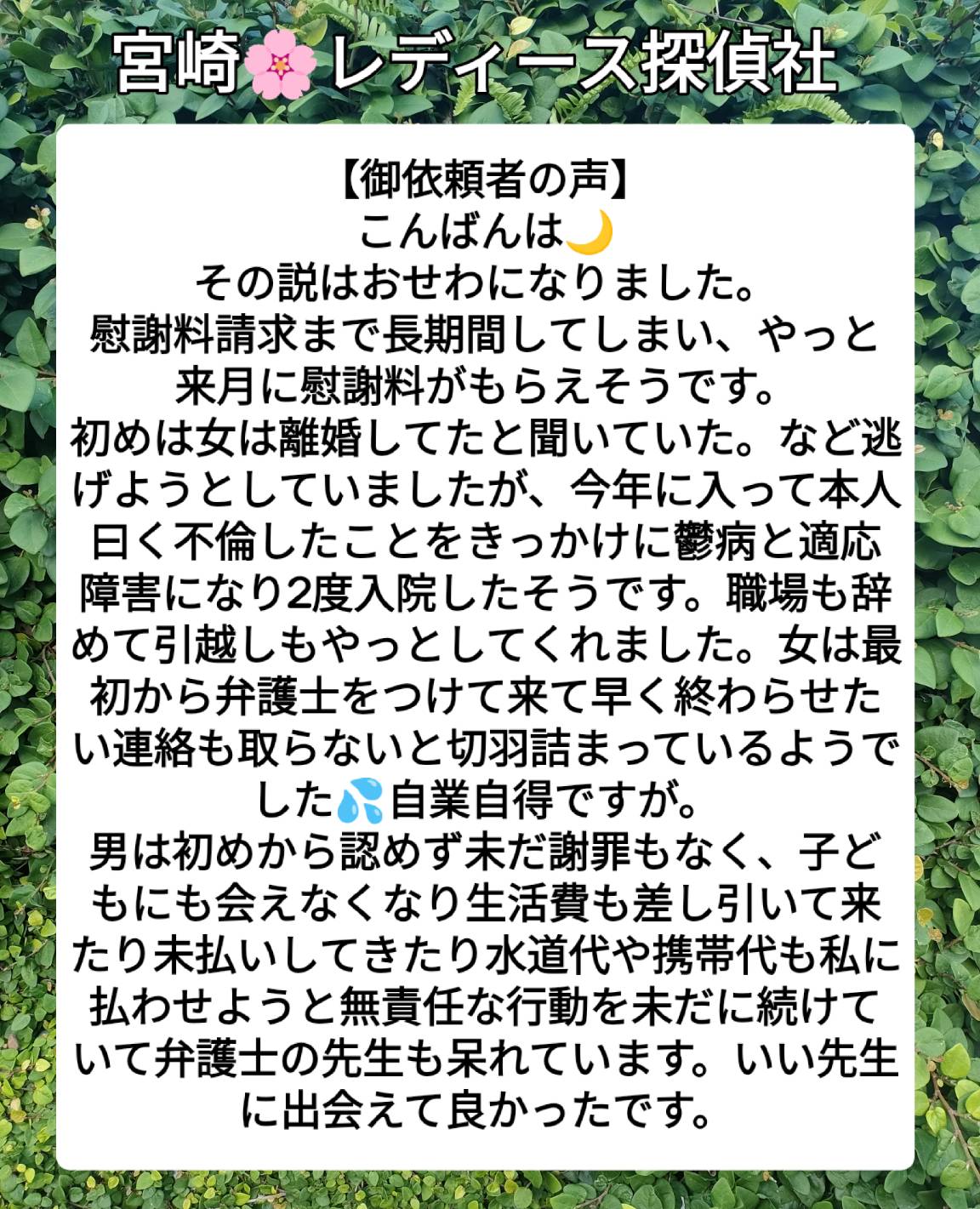 宮崎市浮気調査 宮崎市探偵ブログ 御依頼者の声